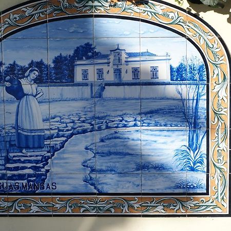 مبيت وإفطار Cadima Casa Aguas Mansas المظهر الخارجي الصورة