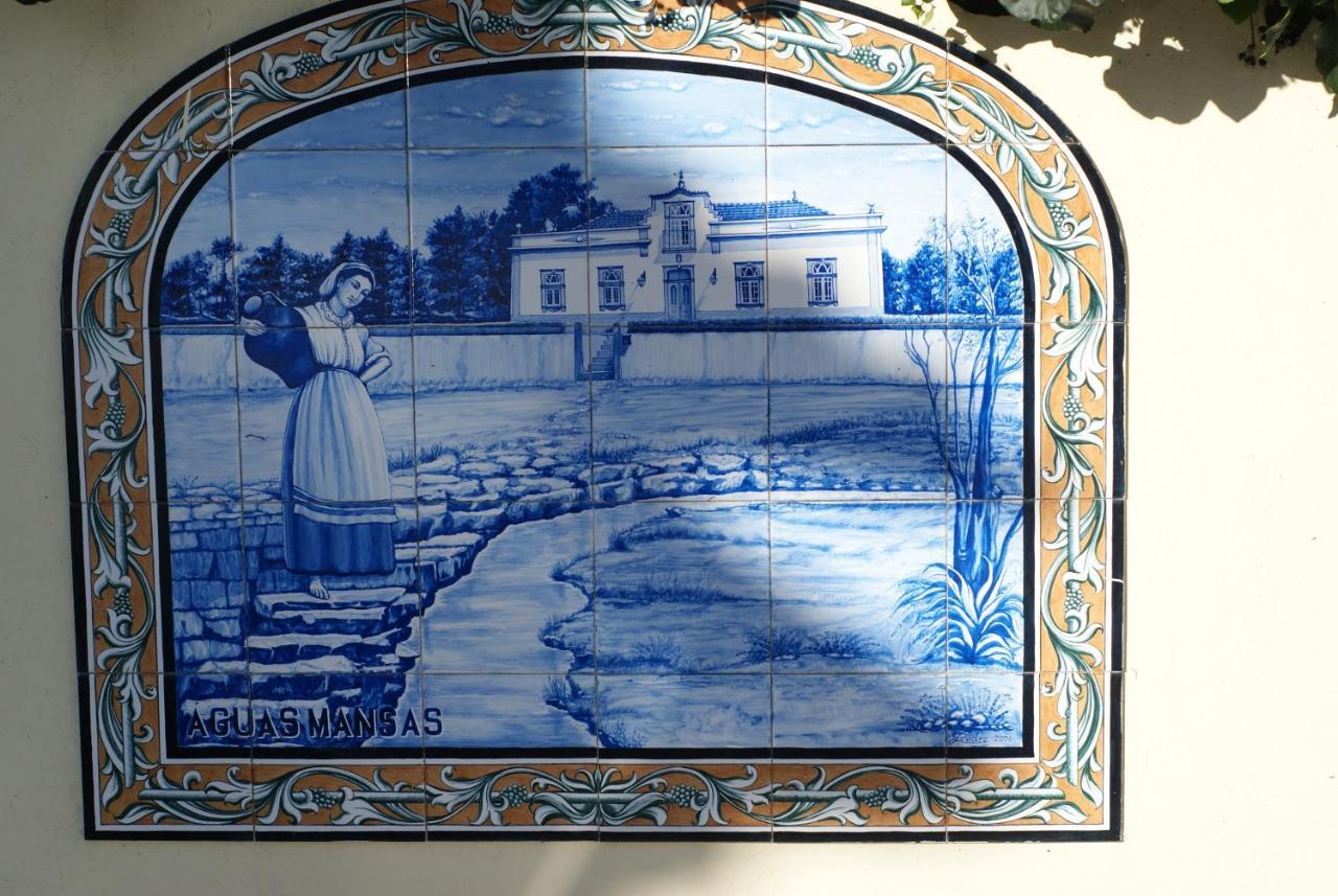 مبيت وإفطار Cadima Casa Aguas Mansas المظهر الخارجي الصورة